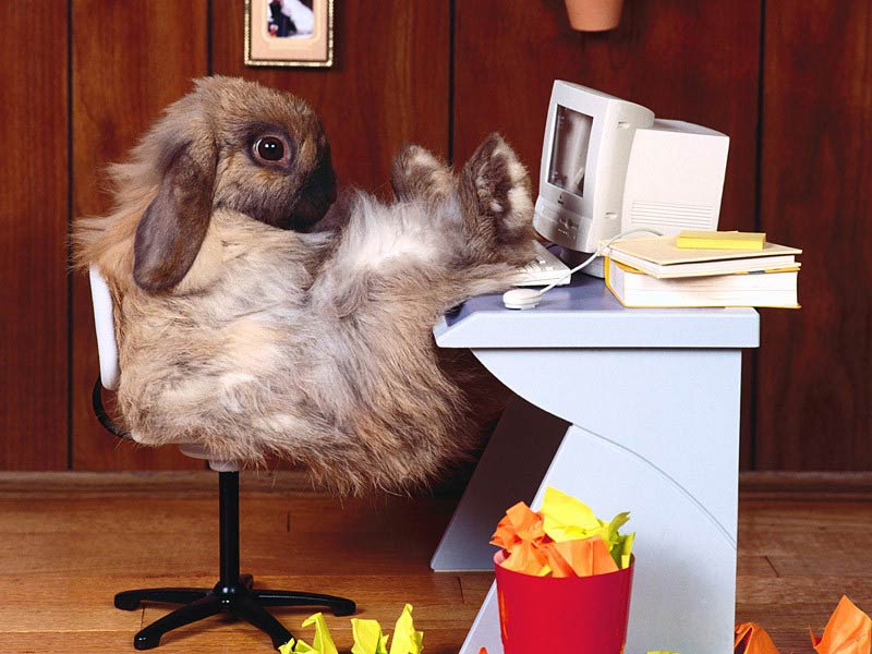 frohe-ostern