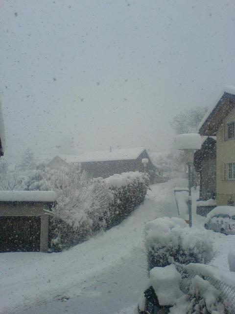 dsc00189sw4