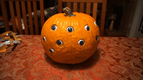 giphy747878888