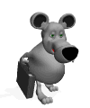 255 2