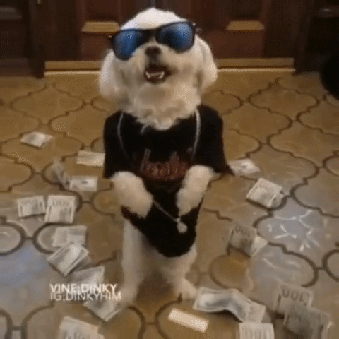 giphy-6