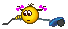 t9d2a7b313e51 t14b00f wqt97gac47y