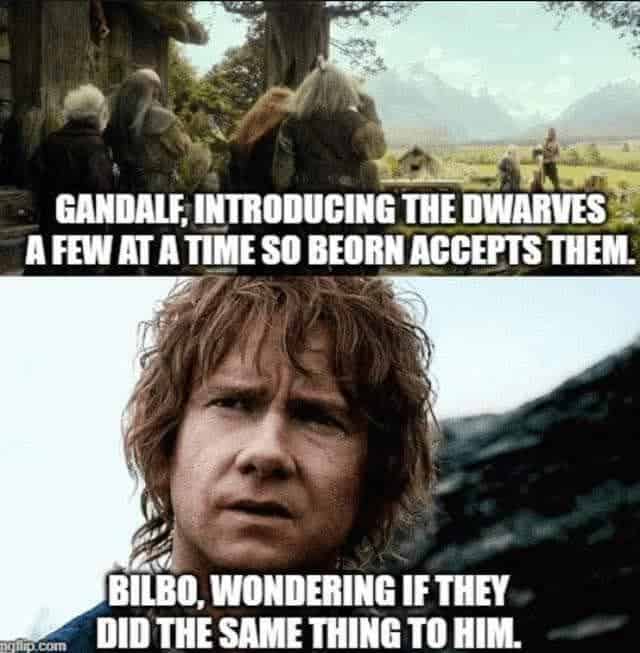 funniest-lord-of-the-rings-memes-32-3