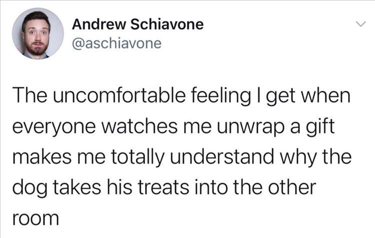 dogs treats