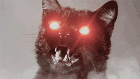 Katzen dmon - Copy