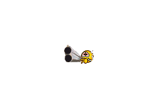 Waffe-6