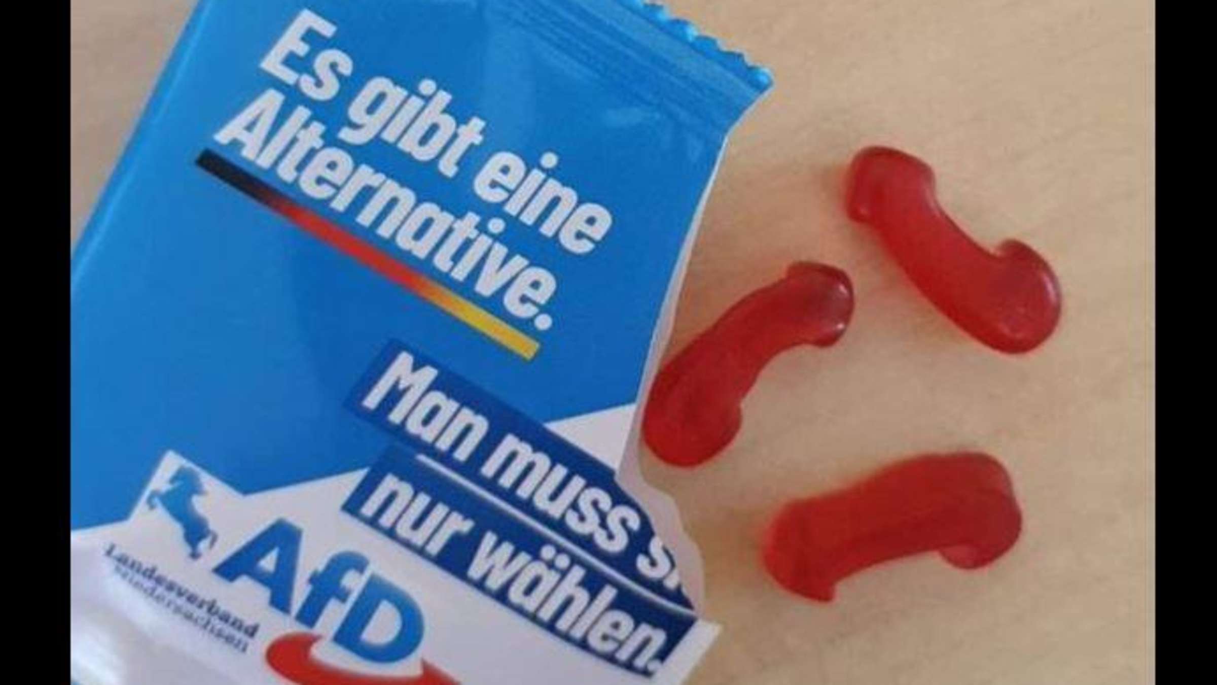 29849593-die-afd-niedersachsen-macht-wah