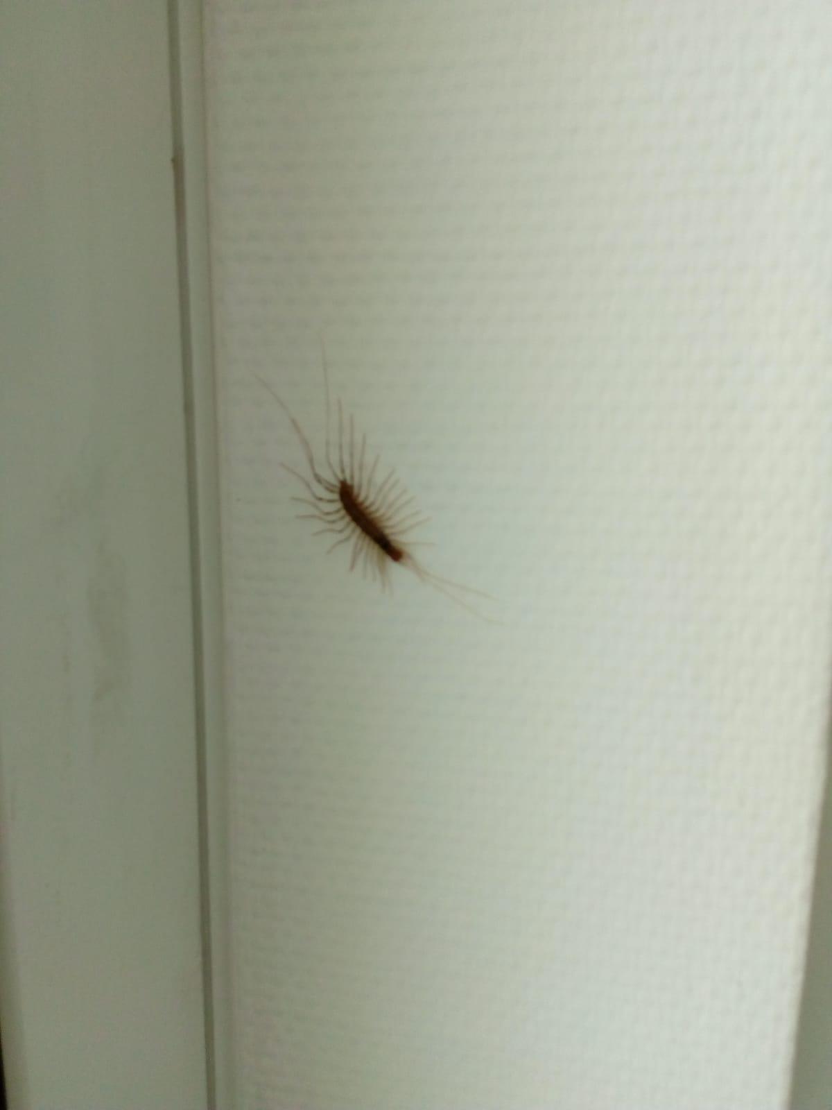 IMG-20210616-WA0034