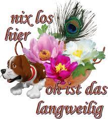 images 5