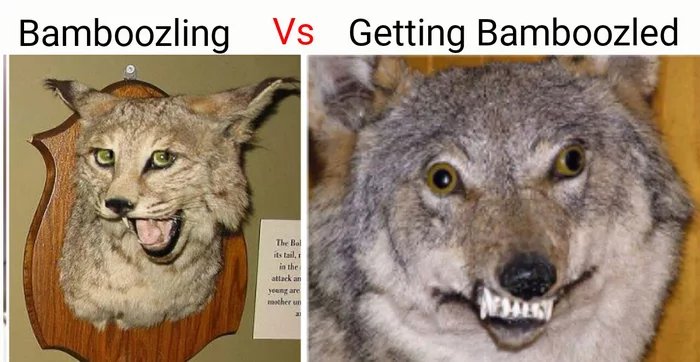 Yes-they-are-stuffed-animals-badly