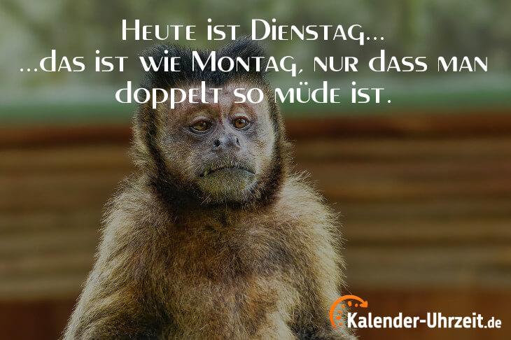 spruch-dienstag-04