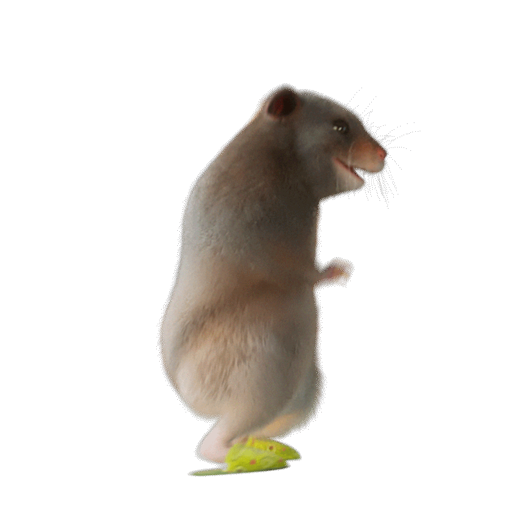 krecek-22b-1080x1080