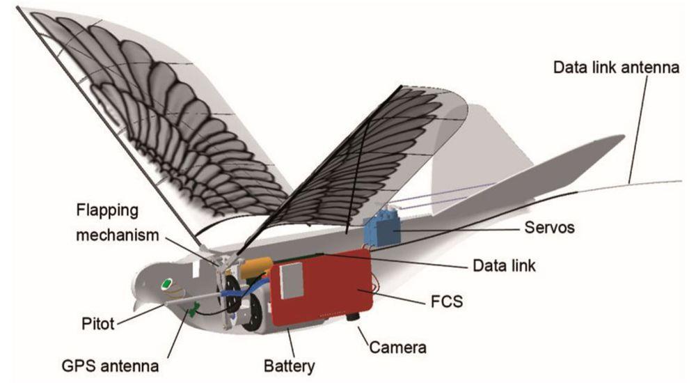 dove-robot-bird-1 6082164