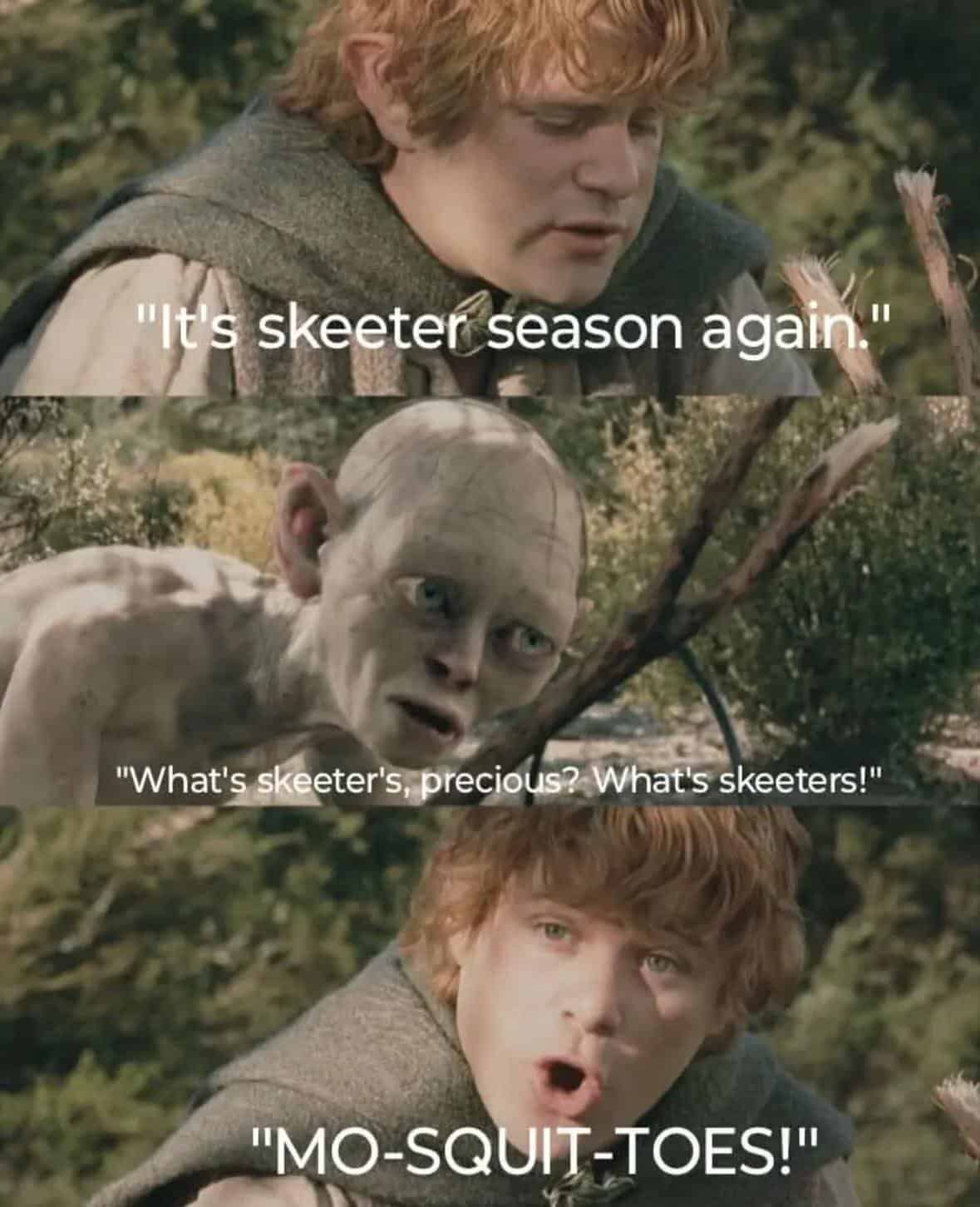 funniest-lord-of-the-rings-memes-9-4