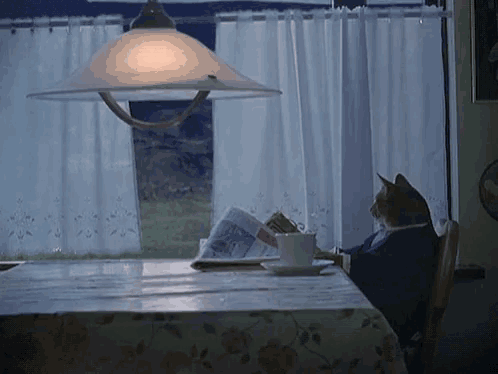 cat-boat