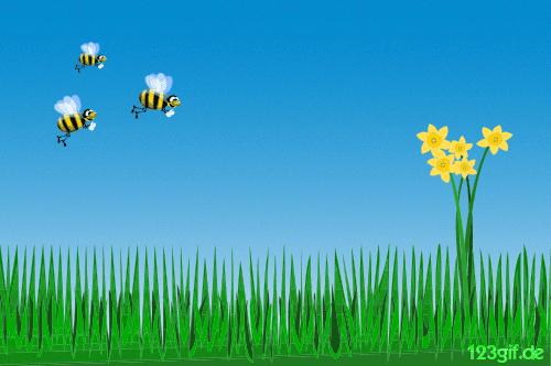 Fruehling Bilder kostenlos von 123gif de