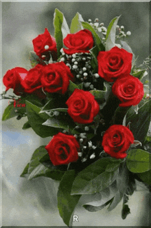 virC3A1gok-flowers