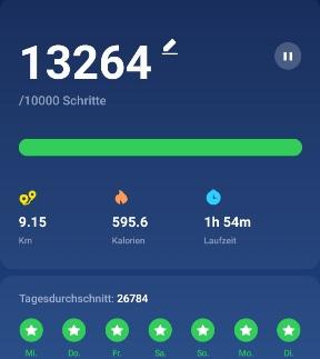 Screenshot 20211130-175436 Pedometer Ste