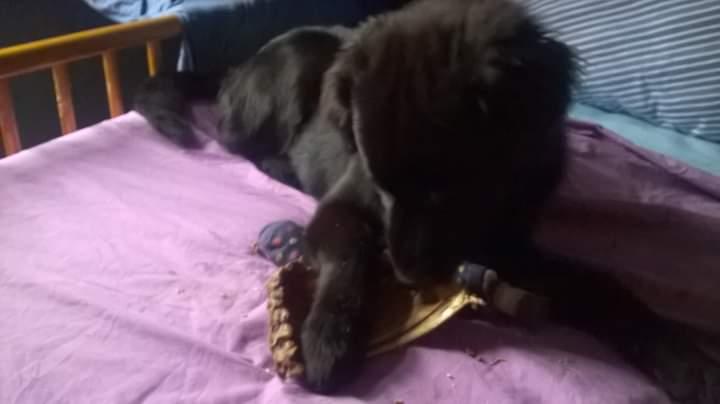 FB IMG 1642960795613