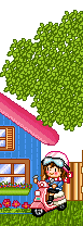 oie overlay