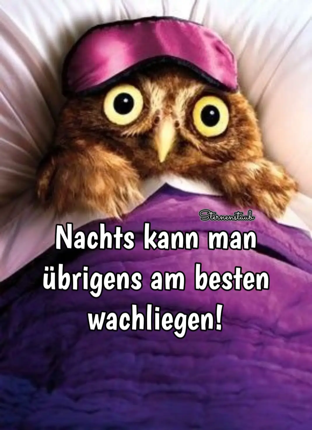 img 2 1709660674407
