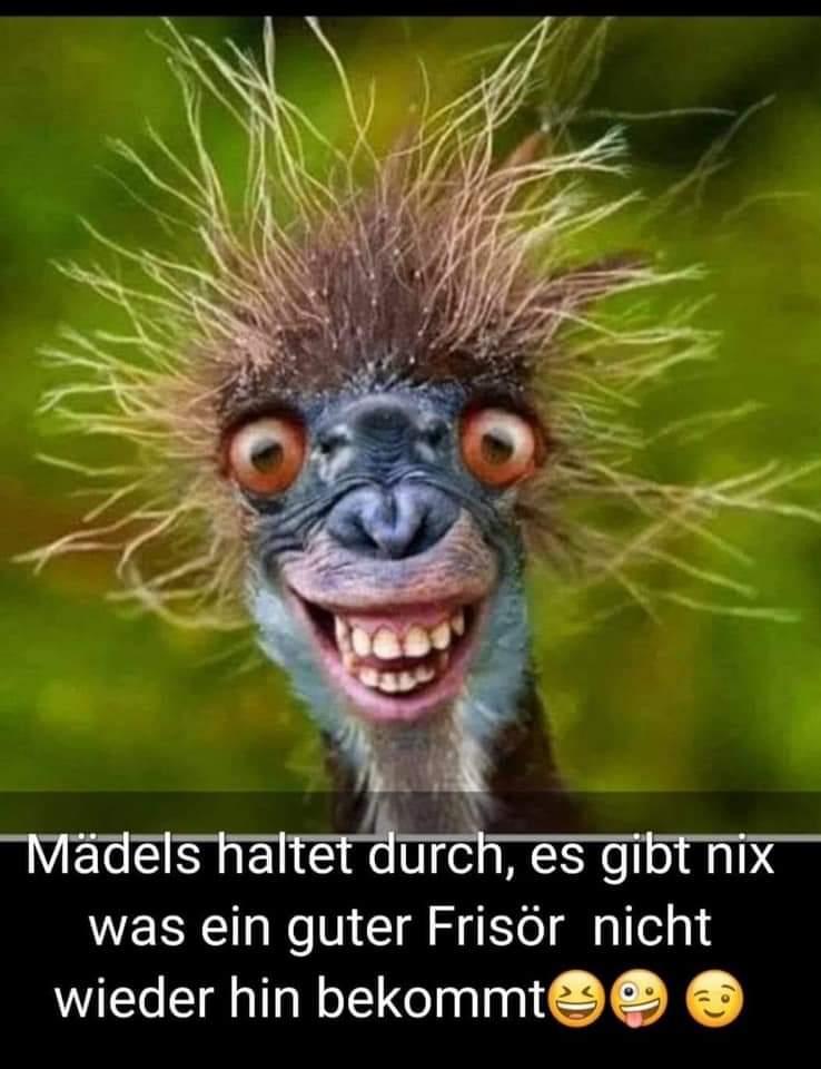 FB IMG 1588052607398