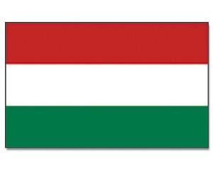 flagge-ungarn 600x600