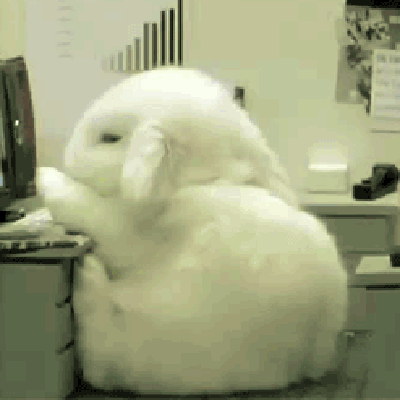 cute-bunny-gif-44