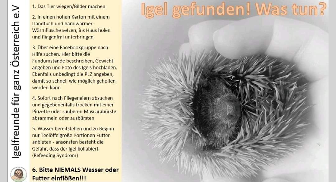 FB IMG 1719475084245