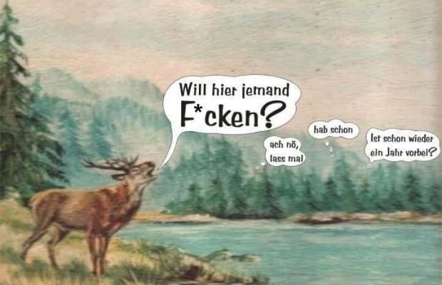 will-hier-jemand-620x400 1