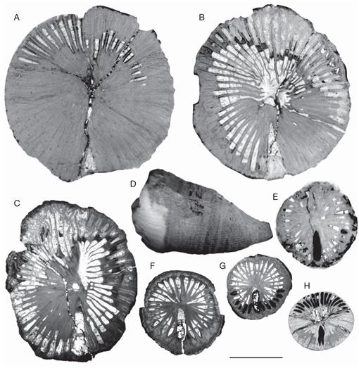 f04 581