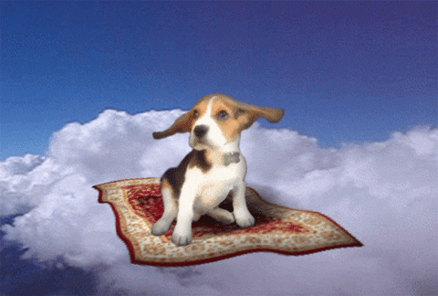 Fliegender Teppich - Copy