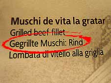 4.bild