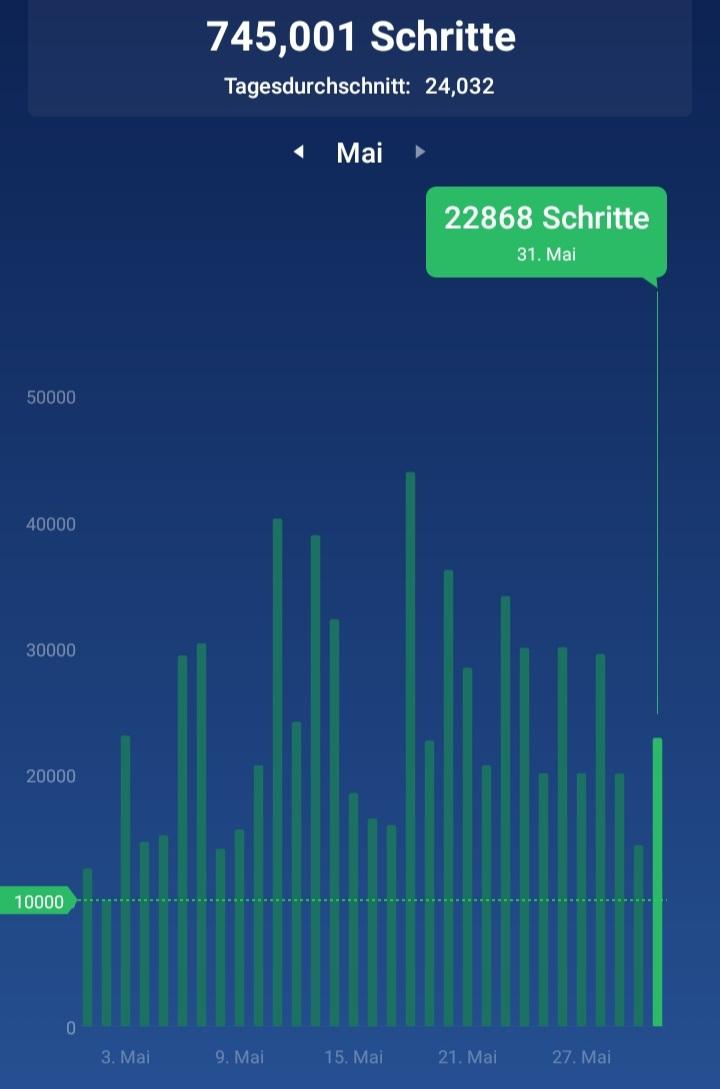 Screenshot 20220531-232926 Pedometer Ste