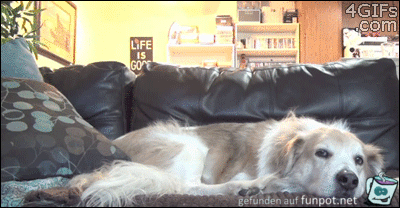 Kuscheln