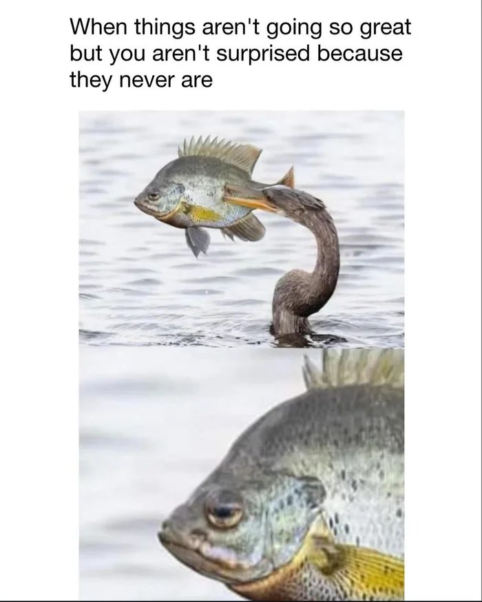 1000005327