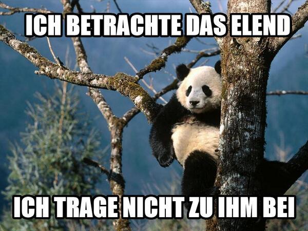 Bi31q8QCMAAXtxT