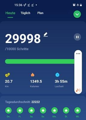 Screenshot 20211124-153647 Pedometer Ste