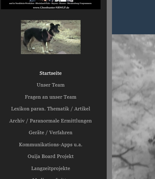 Screenshot 2024-08-03 at 22-19-35 Ghosth
