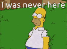 homer-simpson-im-out