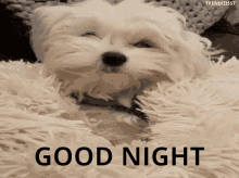 bedtime-sleepy