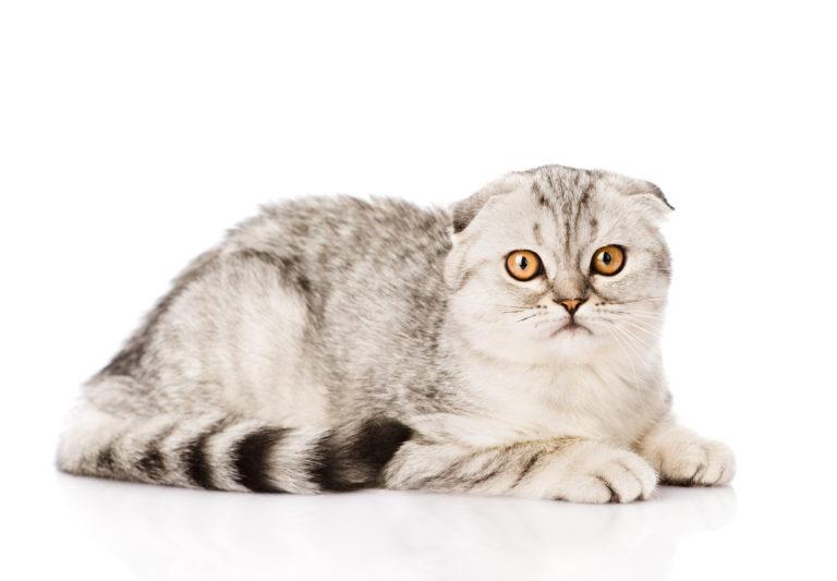 fotolia 134195944-768x533