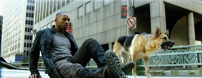 I am Legend 2007 Will Smith Abbey - Copy