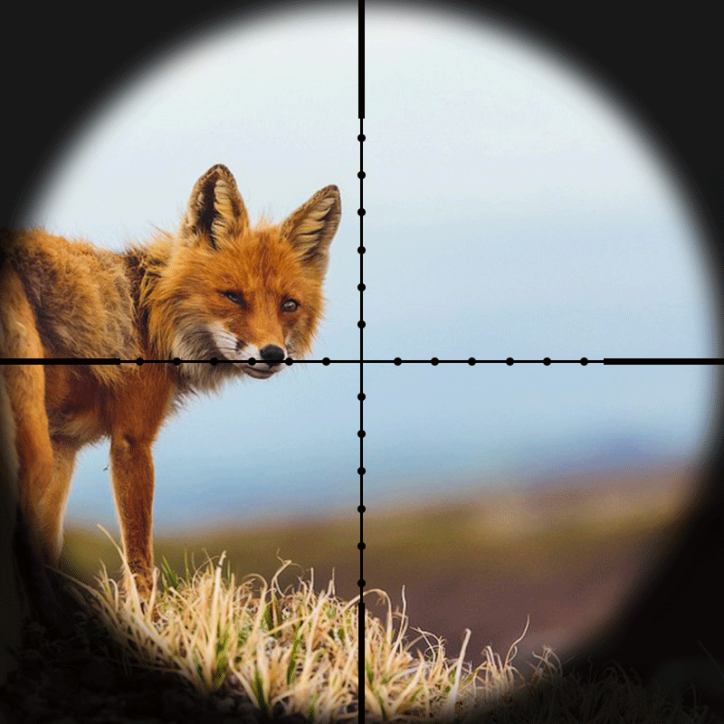 Fire-Wolf-6-24x50-Hunting-tactical-optic