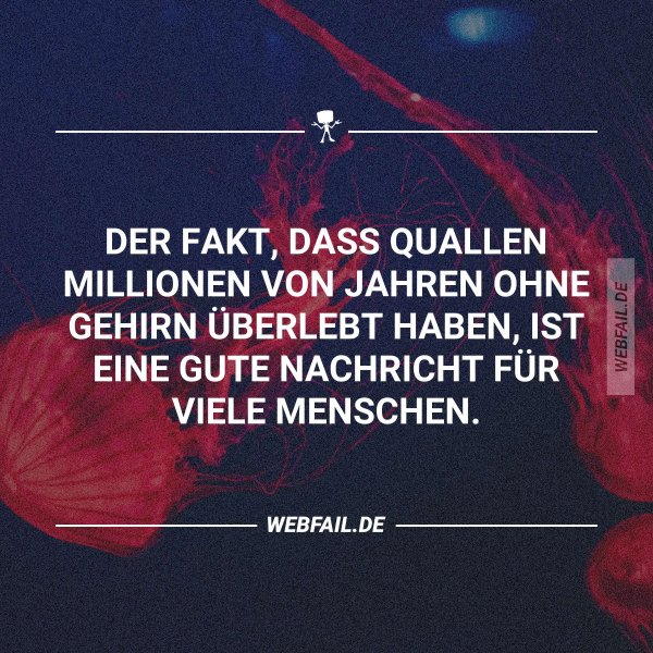 post2 78