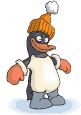 pinguin3