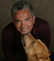 72c029 cesarmillan2