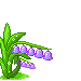 blume225