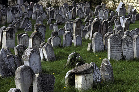 intro bestattung friedhof g
