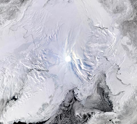 Arcticmosaicweb